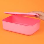 Organizador-Plastico-de-Almacenamiento-con-Tapa-Serie-Rainbow-S-Rosa-2-24588
