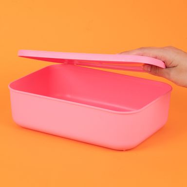 Organizador Plastico de Almacenamiento con Tapa Serie Rainbow S Rosa