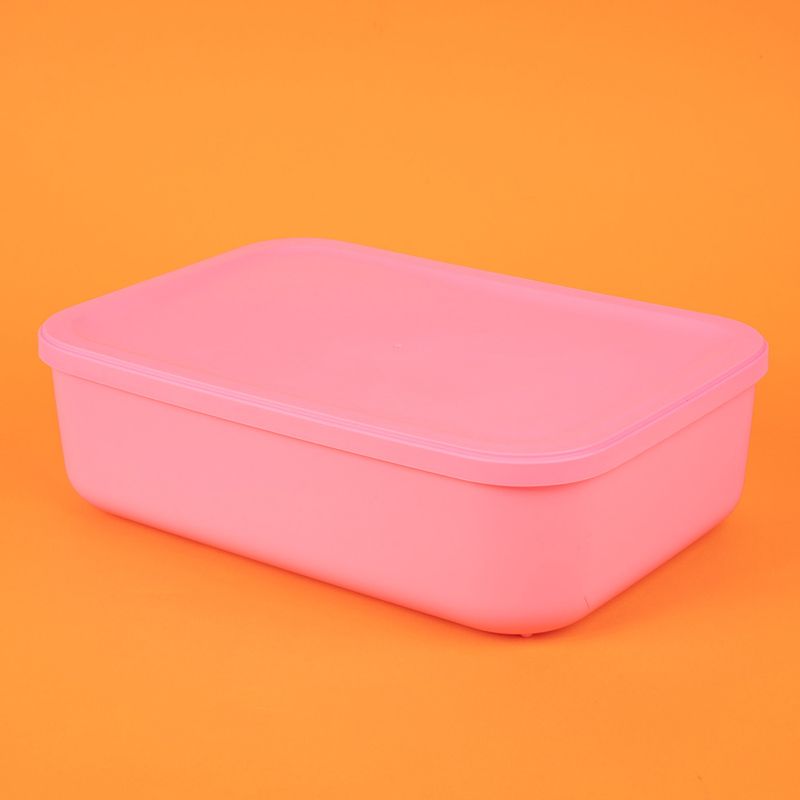 Organizador-Plastico-de-Almacenamiento-con-Tapa-Serie-Rainbow-S-Rosa-3-24588