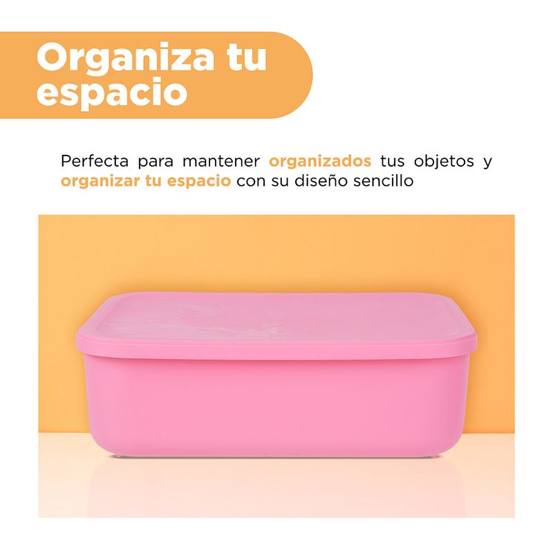 Organizador-Plastico-de-Almacenamiento-con-Tapa-Serie-Rainbow-S-Rosa-5-24588