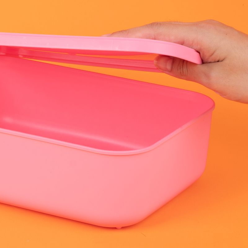 Organizador-Plastico-de-Almacenamiento-con-Tapa-Serie-Rainbow-S-Rosa-7-24588