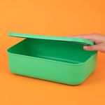 Organizador-Plastico-de-Almacenamiento-con-Tapa-Serie-Rainbow-S-Verde-2-24589
