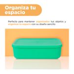 Organizador-Plastico-de-Almacenamiento-con-Tapa-Serie-Rainbow-S-Verde-5-24589