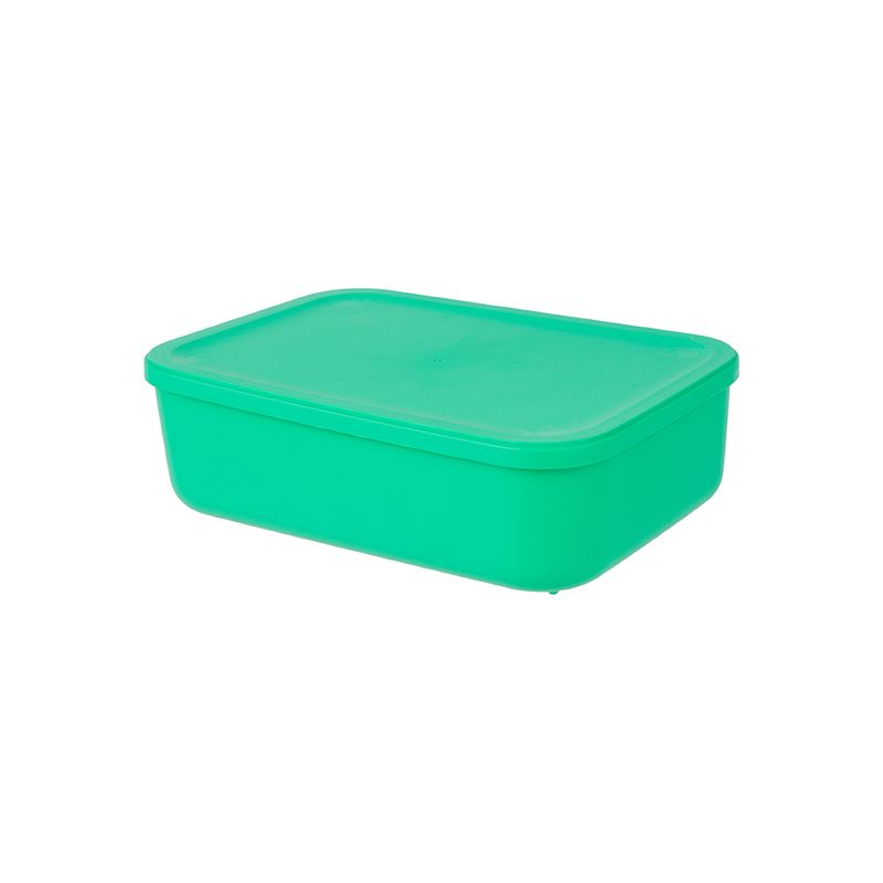 Organizador-Plastico-de-Almacenamiento-con-Tapa-Serie-Rainbow-S-Verde-1-24589