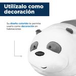 2000003312108-6.jpg