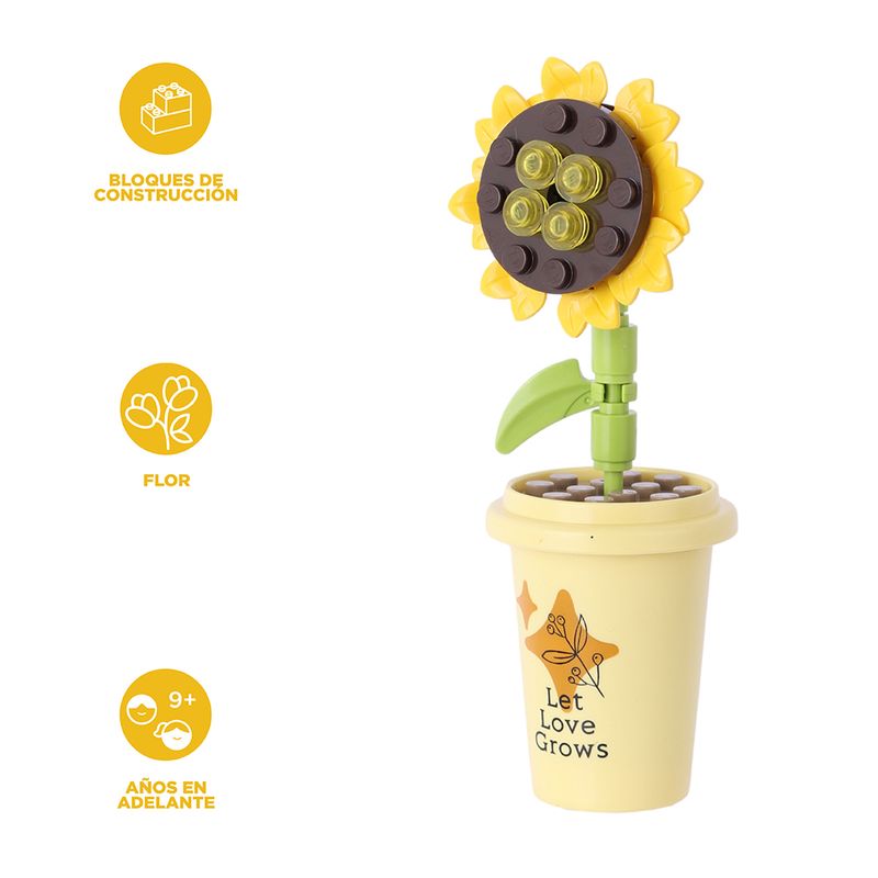Bloques-en-Forma-de-Planta-Serie-Miniso-3-25661