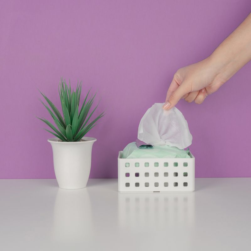 Toallitas-Desmaquillantes-de-Aceite-rbol-de-Te-Serie-Miniso-30-Toallitas-5-25664