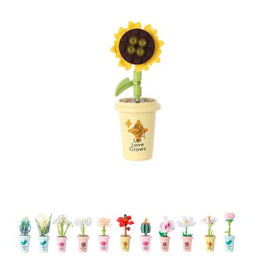 Bloques en Forma de Planta Serie Miniso