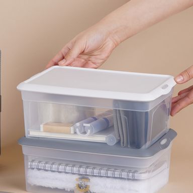 Organizador Plastico de Almacenamiento Transparente Serie Silver Gray Gris Claro