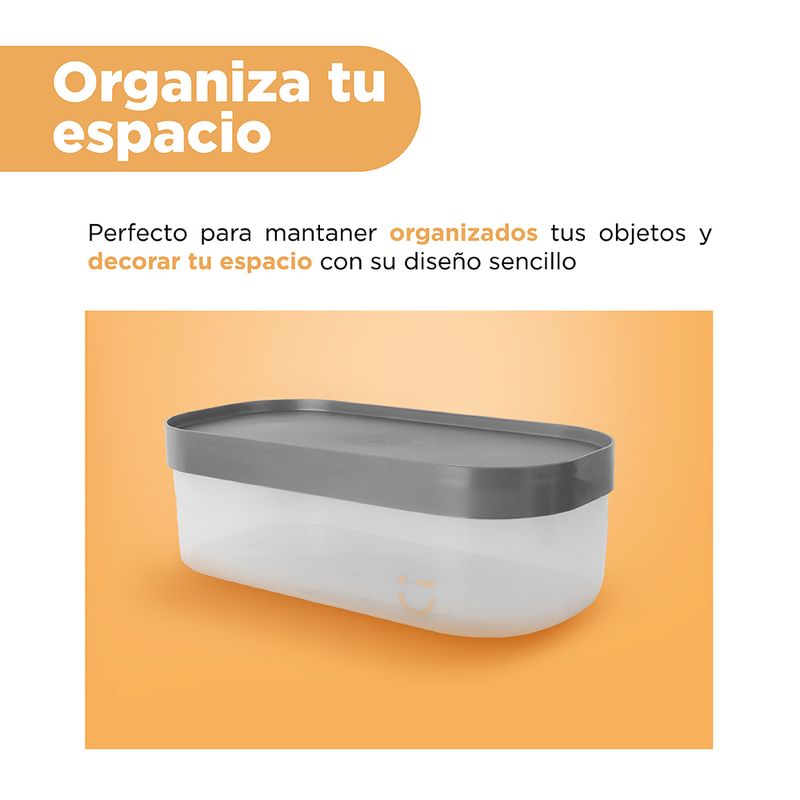 Organizador-Plastico-Grande-de-Almacenamiento-Serie-Silver-Gray-Gris-Oscuro-6-25919