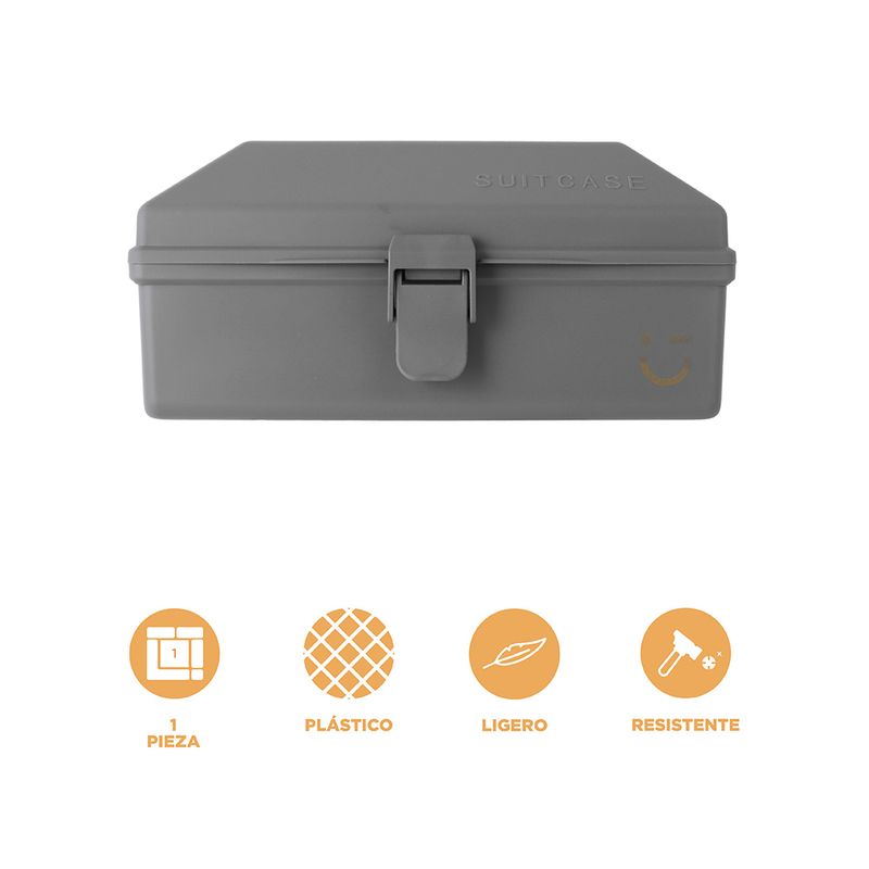 Organizador-Plastico-de-Almacenamiento-Portatil-Serie-Silver-Gray-Gris-Oscuro-5-25924