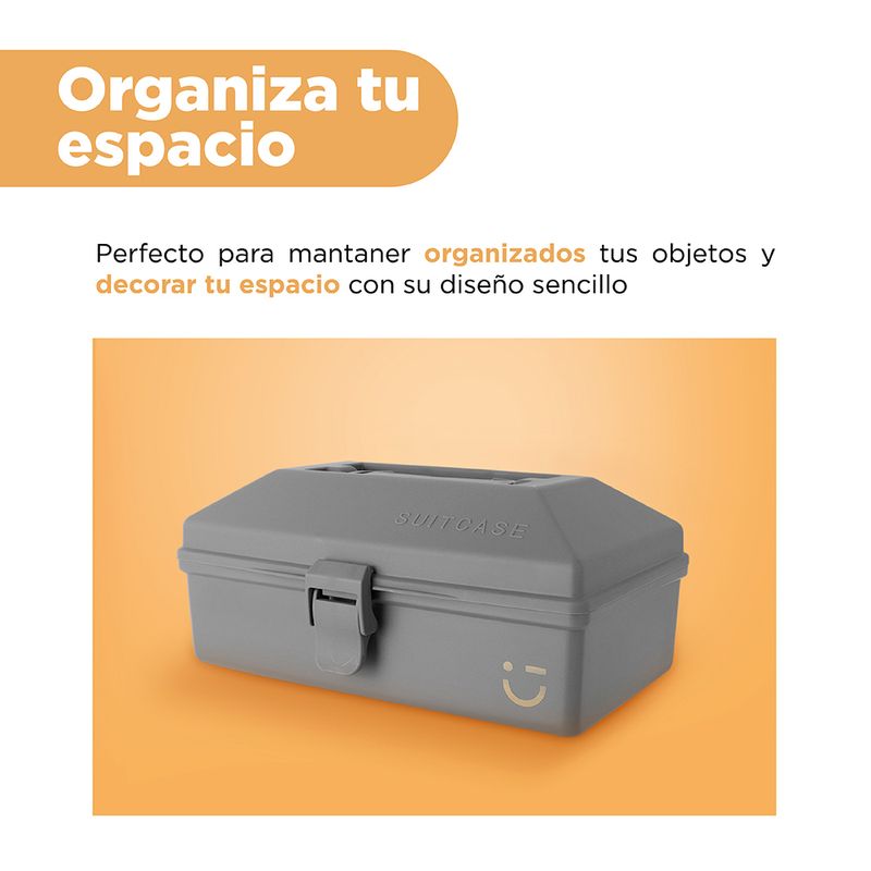 Organizador-Plastico-de-Almacenamiento-Portatil-Serie-Silver-Gray-Gris-Oscuro-6-25924