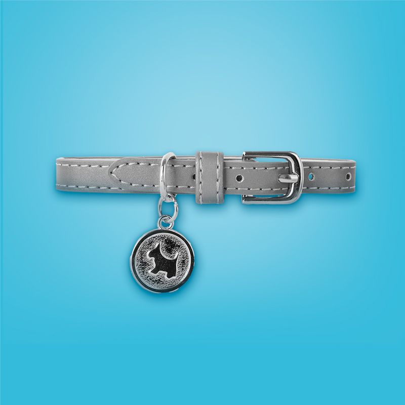 Collar-para-Mascotas-Dije-Redondo-Serie-Silver-Gray-2-25849