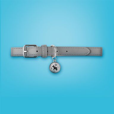 Collar para Mascotas Dije Redondo Grande Serie Silver Gray