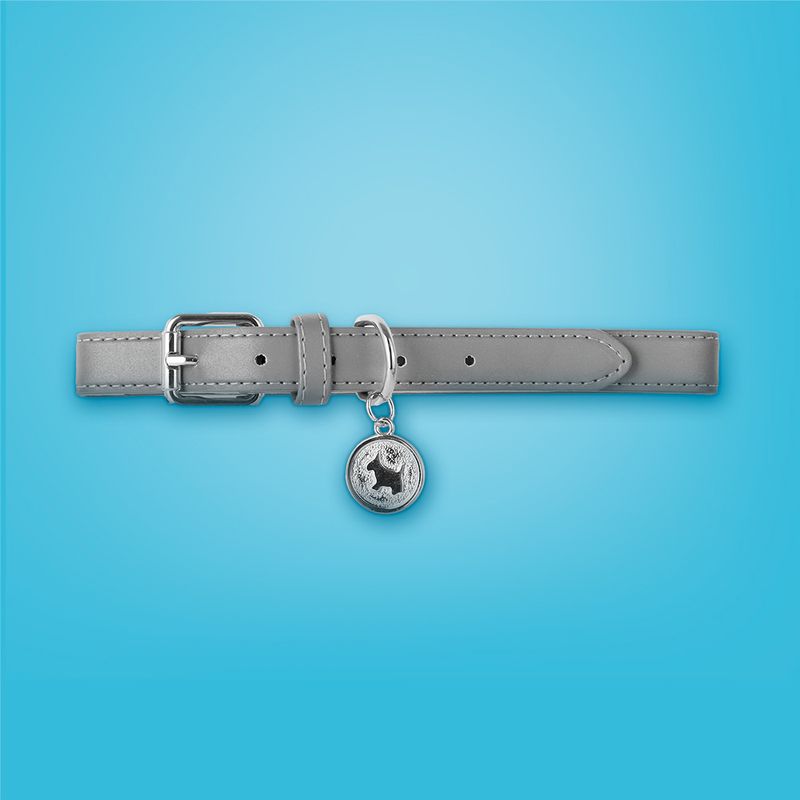 Collar-para-Mascotas-Dije-Redondo-Grande-Serie-Silver-Gray-2-25851