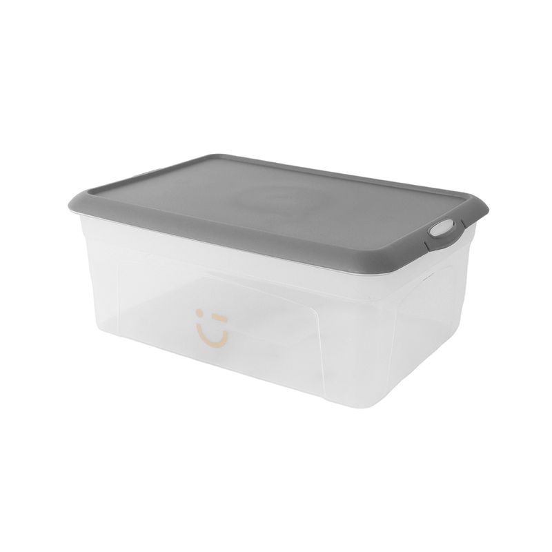 Organizador-Plastico-de-Almacenamiento-Transparente-Serie-Silver-Gray-Gris-Oscuro-Organizador-Plastico-de-Almacenamiento-Transparente-Serie-Silver-Gray-Gris-Oscuro-1-25917