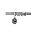 Collar-para-Mascotas-Dije-Redondo-Serie-Silver-Gray-1-25849