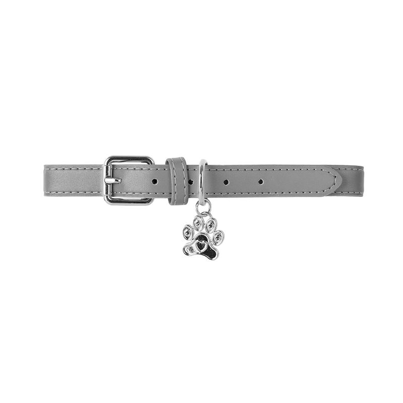 Collar-para-Mascotas-Dije-de-Huella-Grande-Serie-Silver-Gray-1-25852