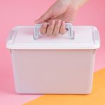 Organizador-Plastico-con-Asa-y-Tapa-Serie-Miniso-Gris-2-26301