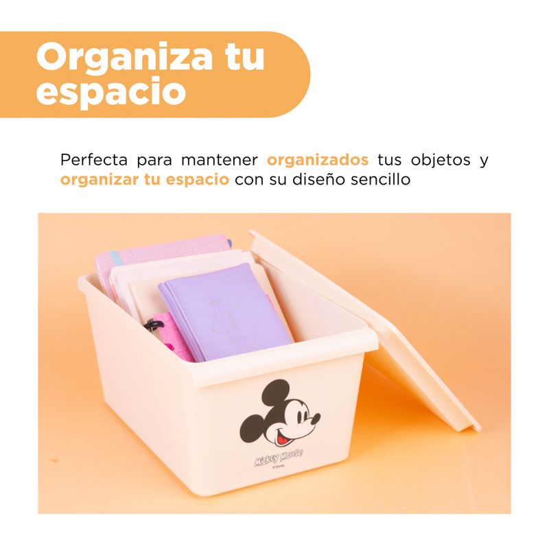 Organizador-Plastico-con-Tapa-Mickey-Serie-Disney-Mickey-Mouse-Organizador-Plastico-con-Tapa-Mickey-Serie-Disney-Mickey-Mouse-4-26158