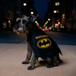 Accesorios-para-Mascotas-Capa-Serie-Dc-Batman-2-27055