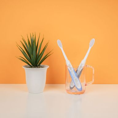 Cepillo de Dientes Plegable Serie Miniso 2 Unidades