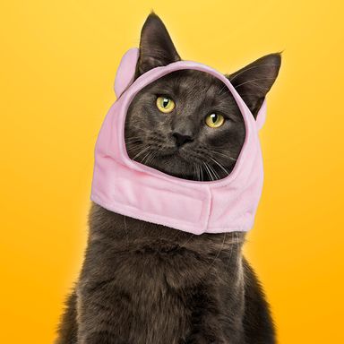 Gorro para Mascota de Cerdo Pequeño