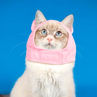 Gorro para Mascota de Cerdo Grande
