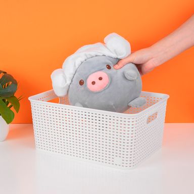 Caja con Tapa L Serie Miniso
