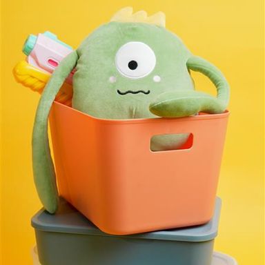 Caja de Almacenamiento con Tapa Grande Transparente