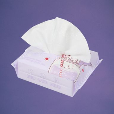 Toallitas Humedas Serie Sanrio 20 Toallitas