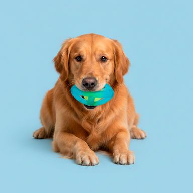 Pelota Saltarina 2 en 1 Serie Miniso Verde Azulado